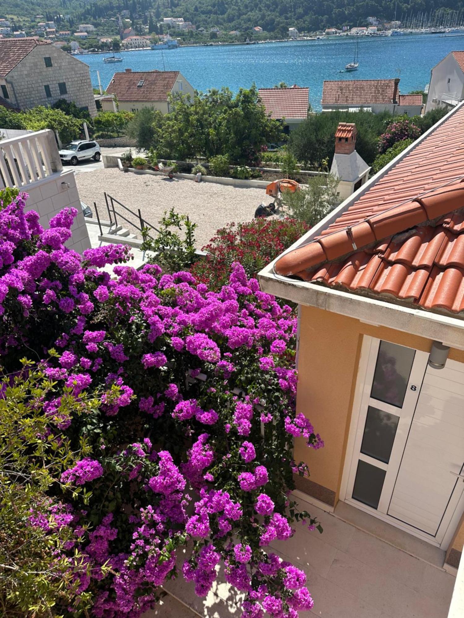 Apartments Villa Eva Slano Buitenkant foto